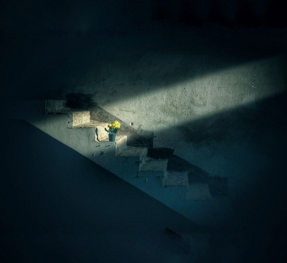 Photograph by abbas valadi