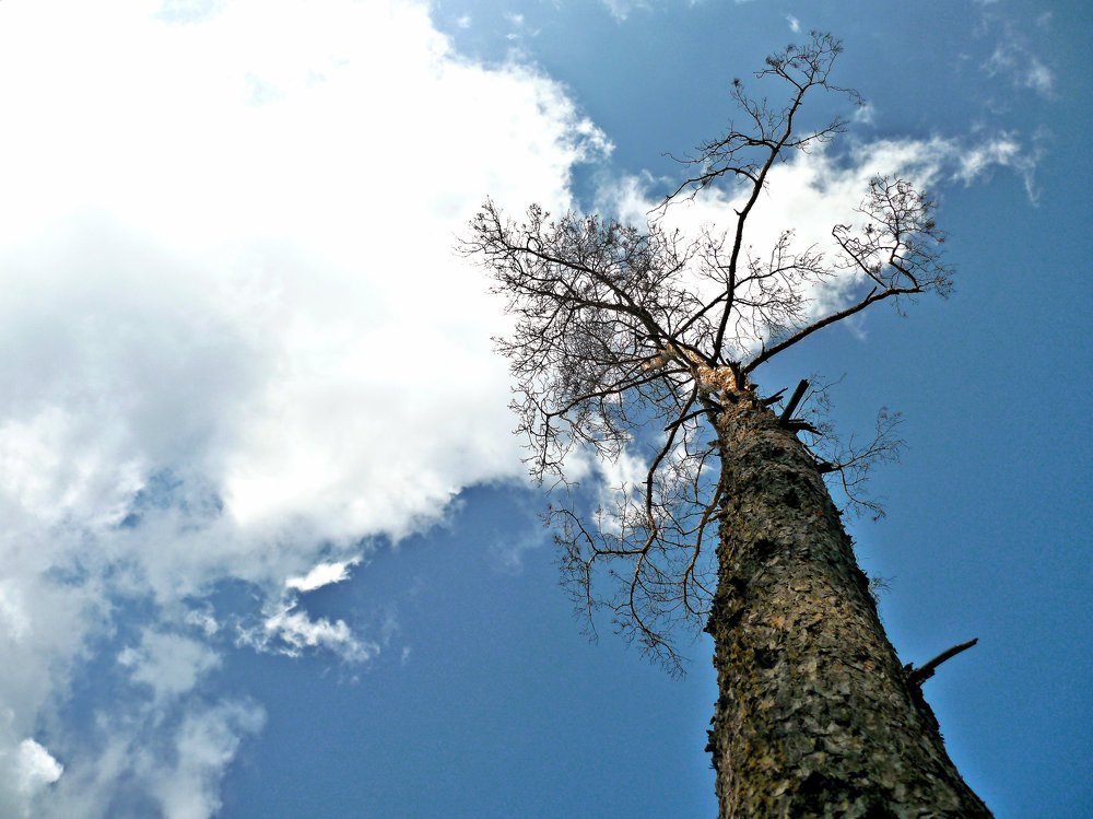 Photograph by Юрий Филицкий