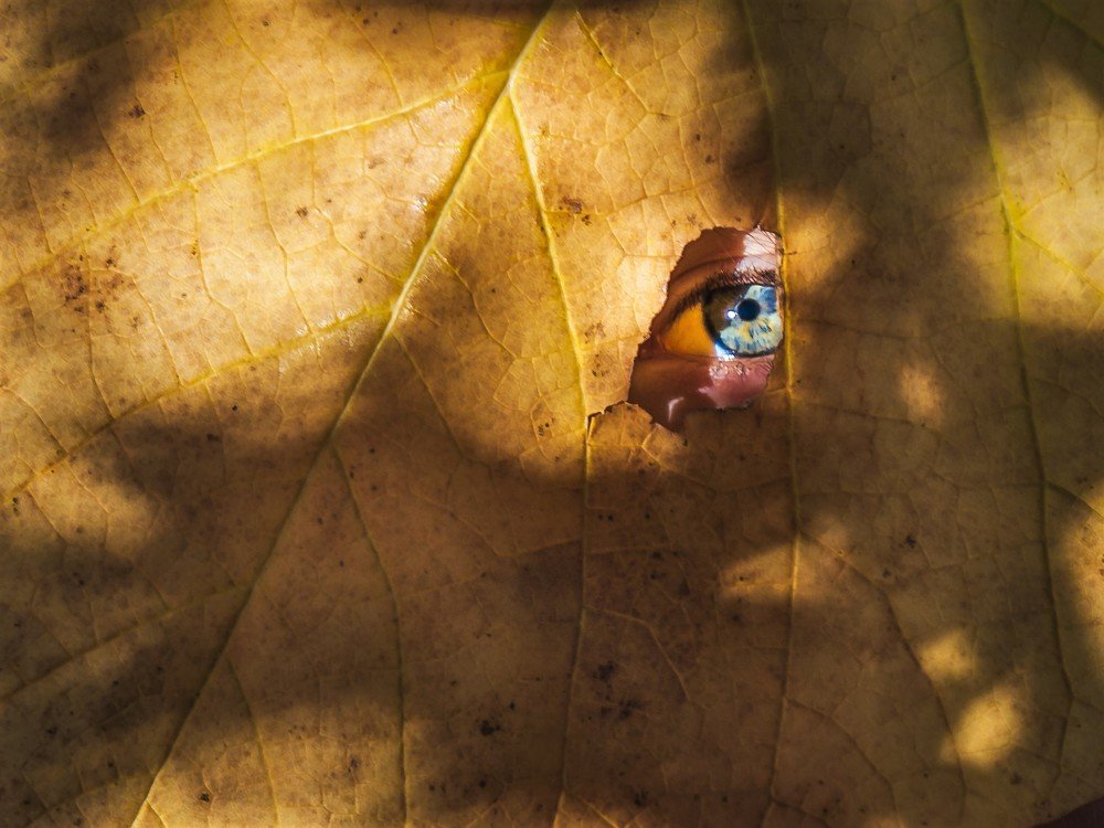 Photograph by Миленькая Наталья