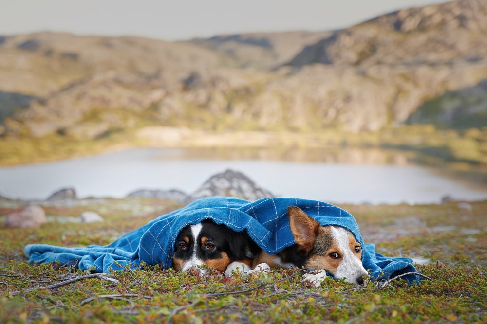 Photograph by Лана Полякова