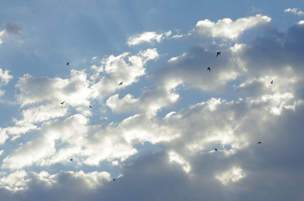 Фотография автора Валентин Амфитеатров