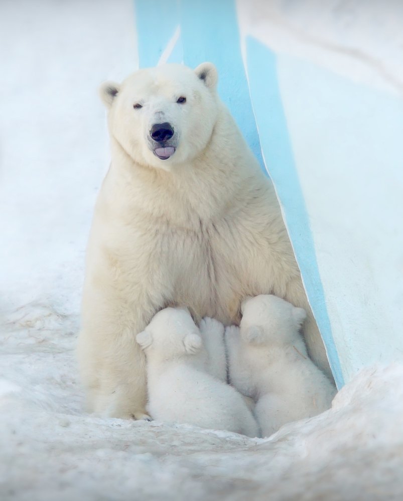 Photograph by Алексей Родак