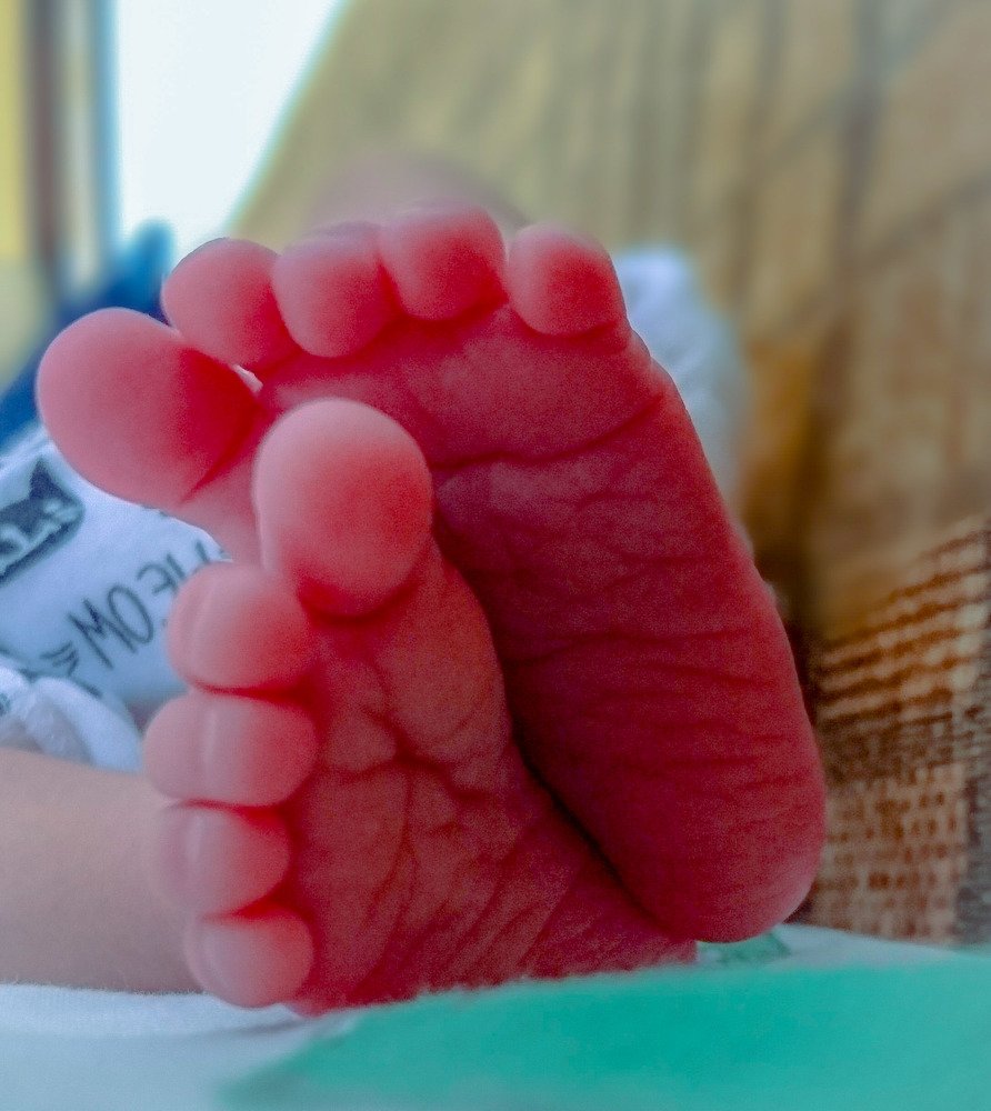 Photograph by OMAR Mourtagy Helal