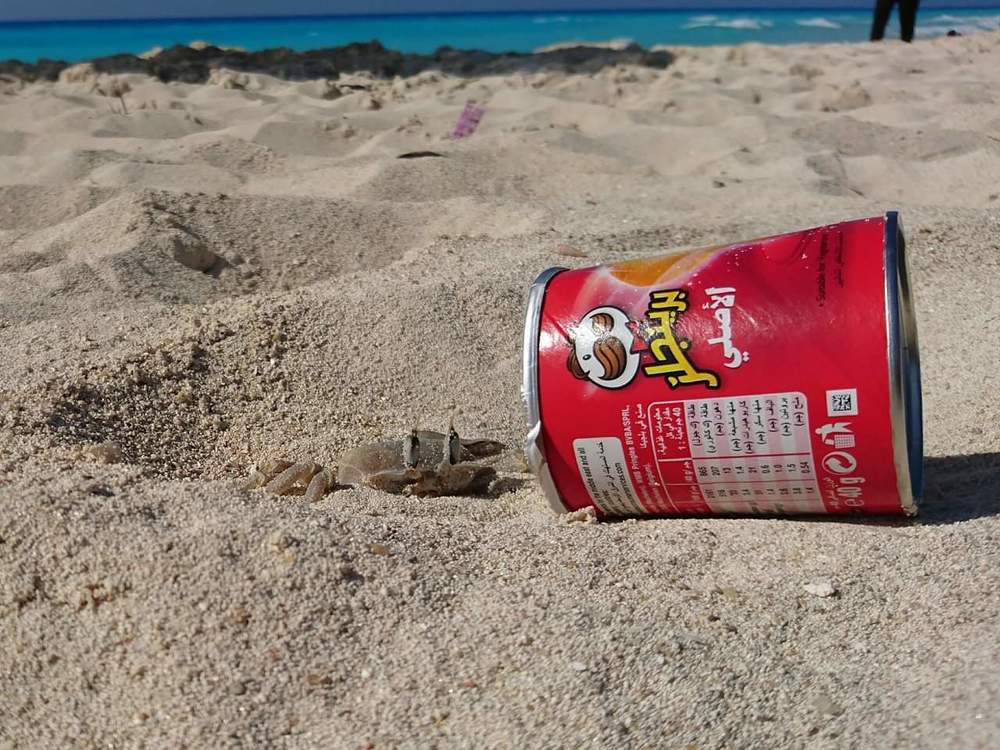 Photograph by OMAR Mourtagy Helal