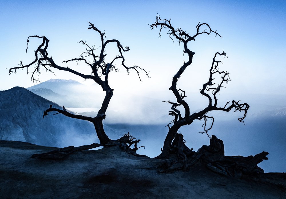 Photograph by Дмитрий Емельянов