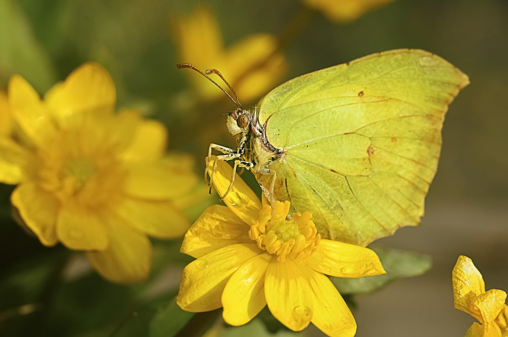 Фотография автора Билан Виктория