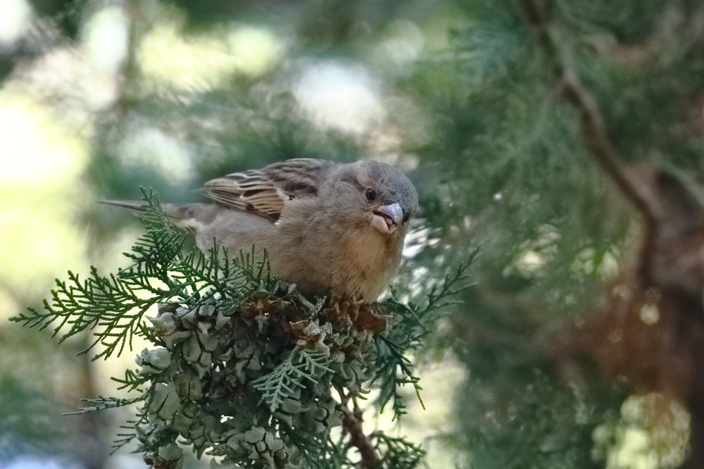 Photograph by Анна Иларионова
