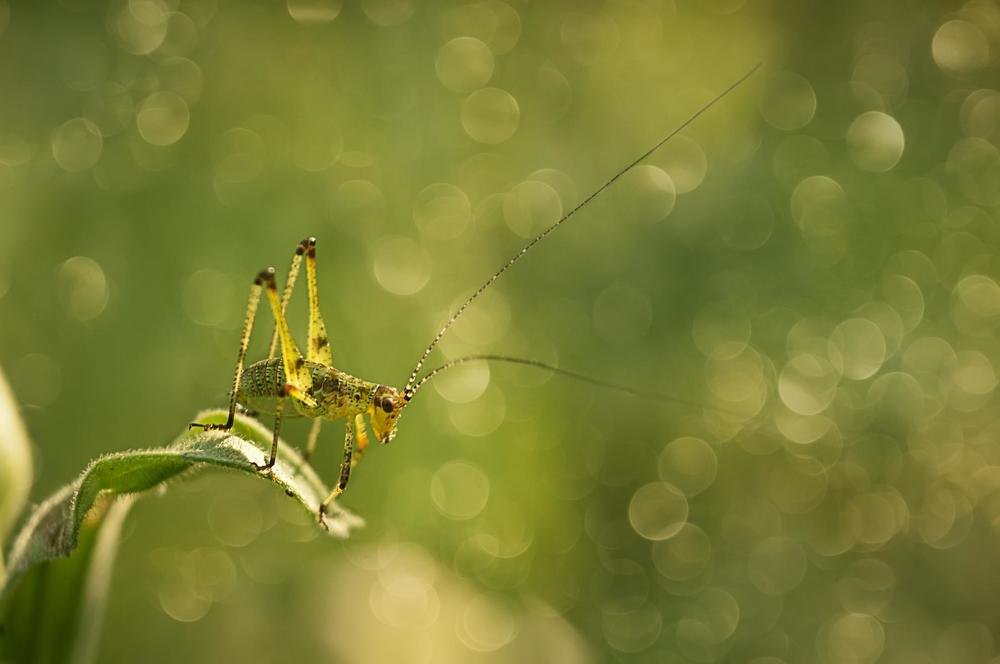 Photograph by Билан Виктория