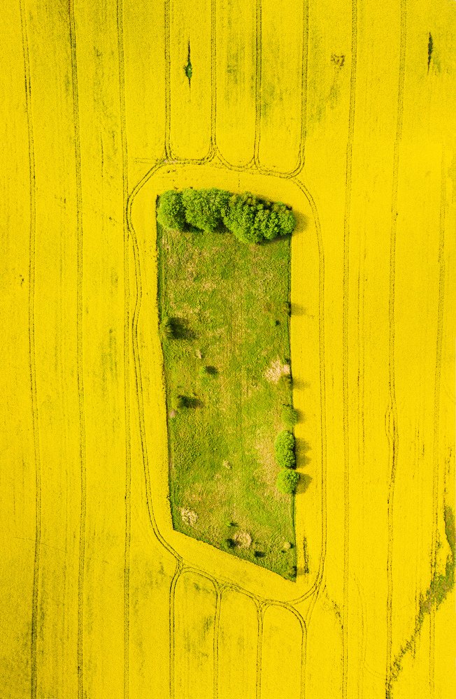 Photograph by Сергей Морозов