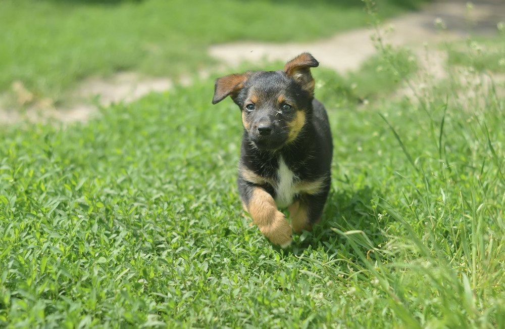 Фотография автора Билан Виктория