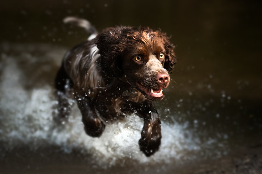 Фотография автора Christina Draper