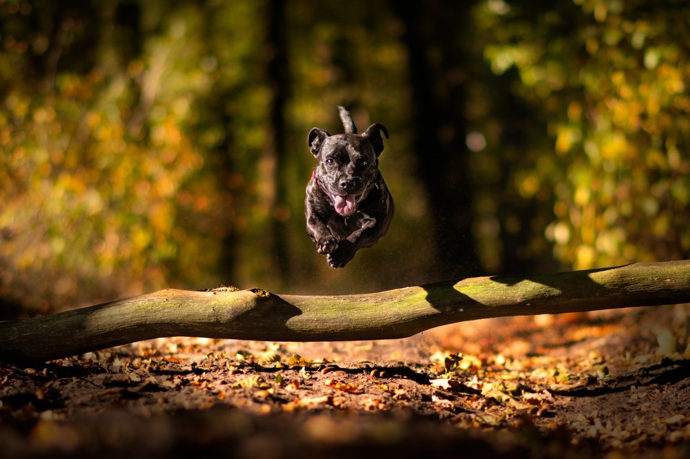 Фотография автора Christina Draper