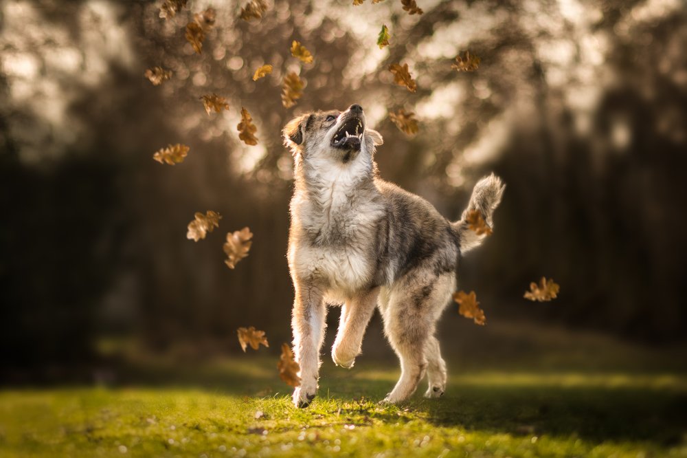 Фотография автора Christina Draper