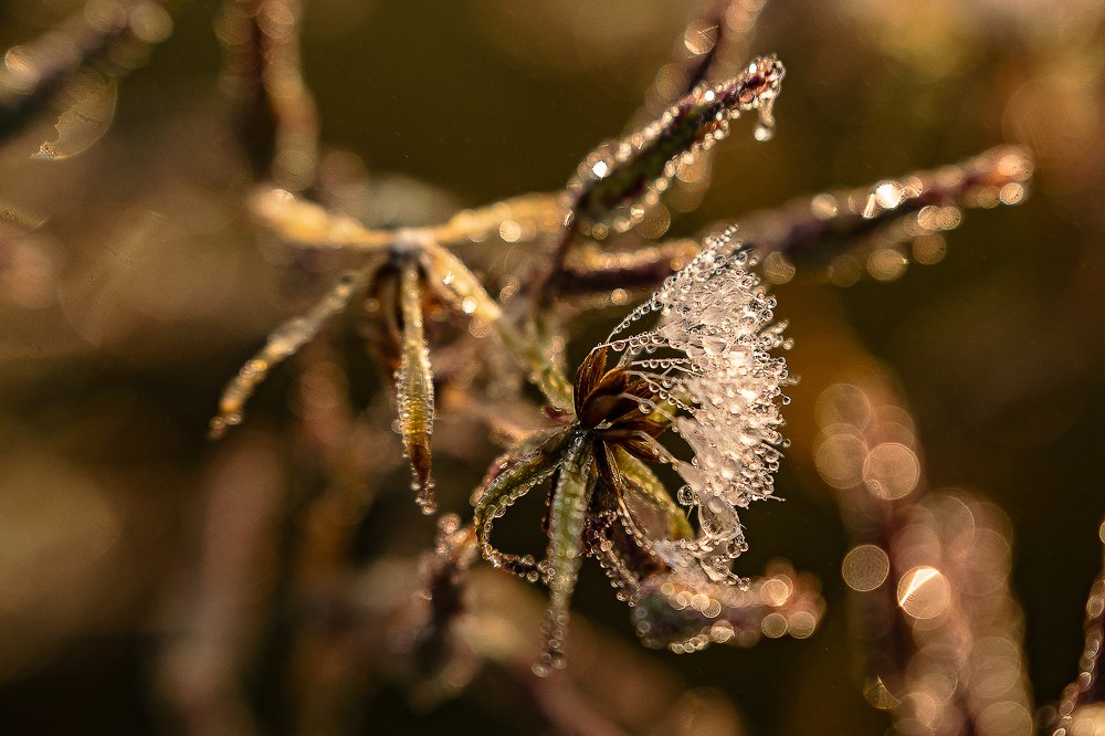 Photograph by Сергей Спритнюк