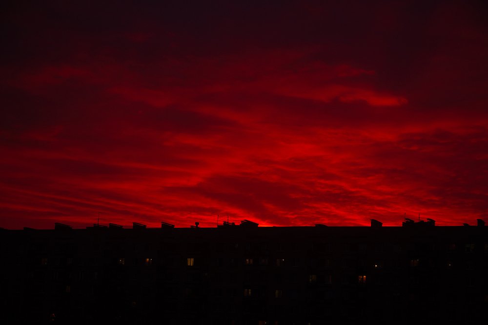 Photograph by Анастасия Ломаева