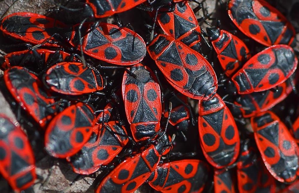 Фотография автора Билан Виктория