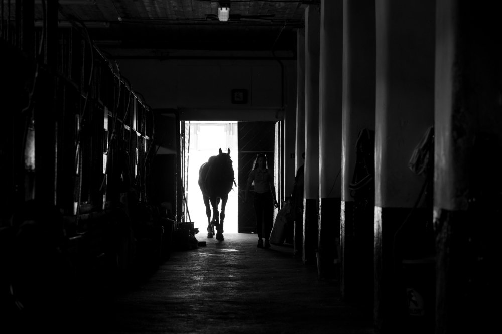 Photograph by Сергей Спритнюк