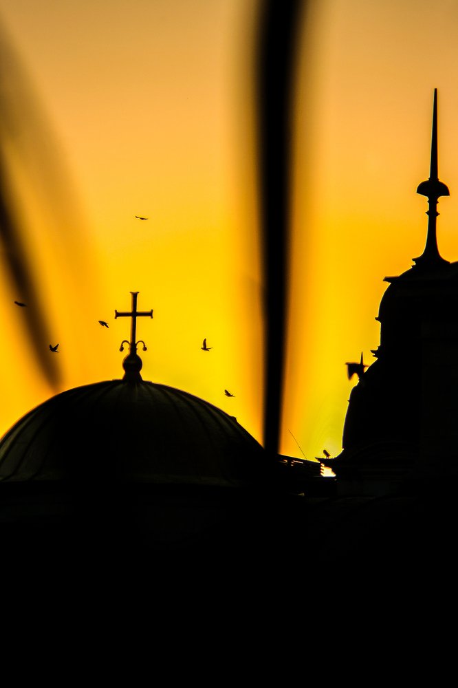 Фотография автора Ivelina Petkova