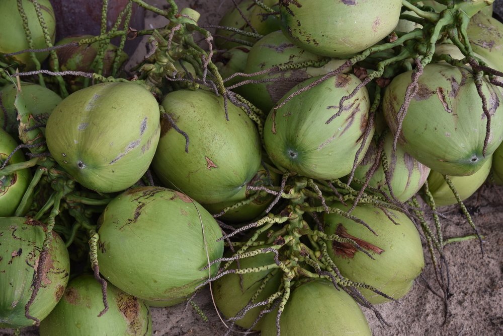 Photograph by Людмила Воропаева