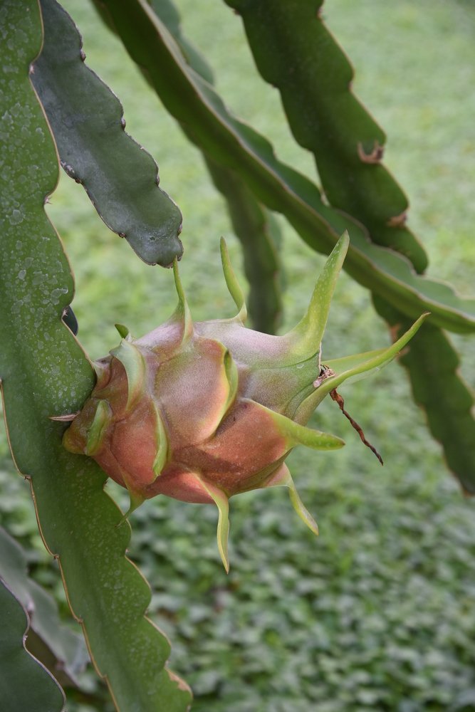 Photograph by Людмила Воропаева