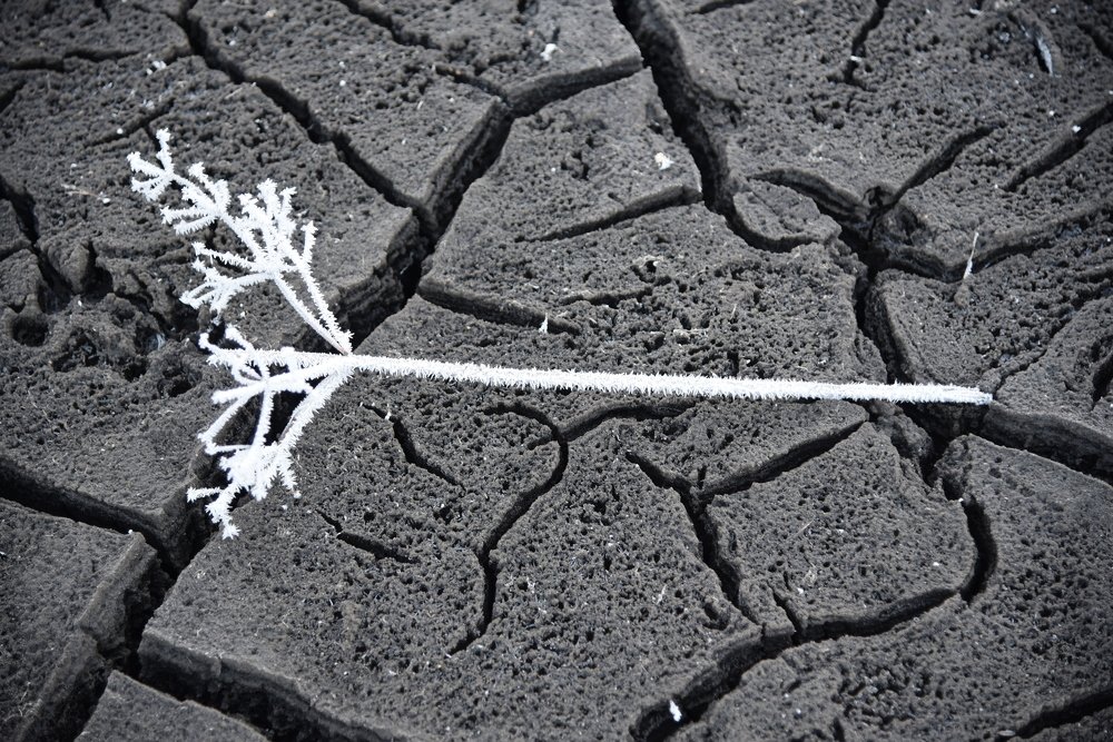 Photograph by Людмила Воропаева