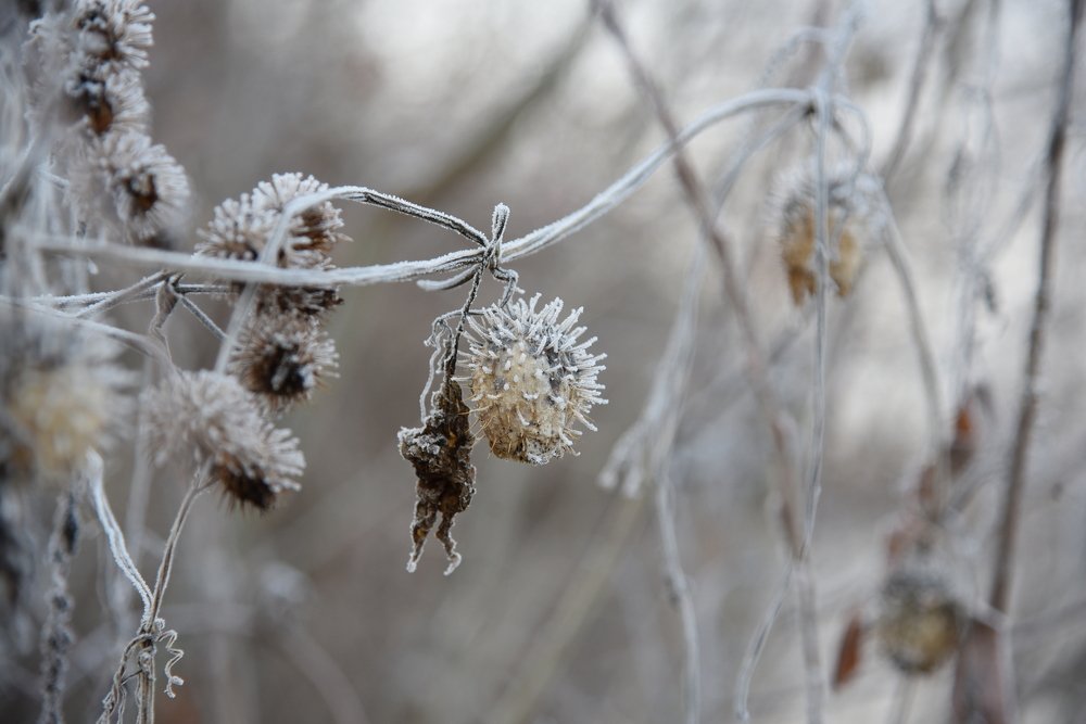 Photograph by Людмила Воропаева