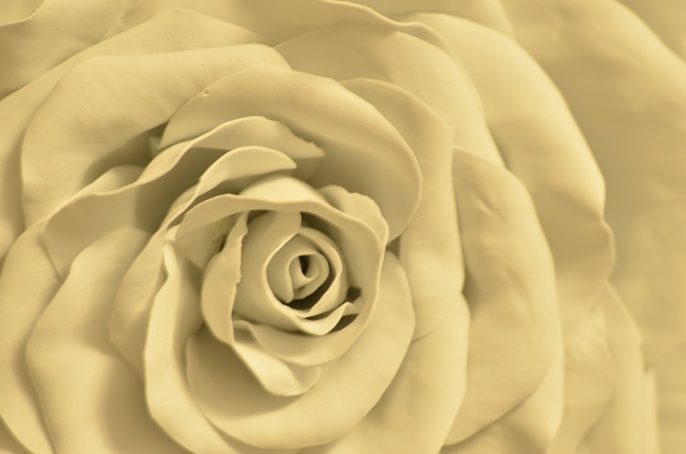 Photograph by Людмила Воропаева