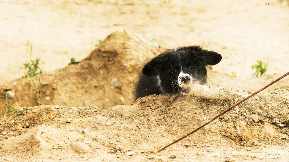 Photograph by Сергей Медведский