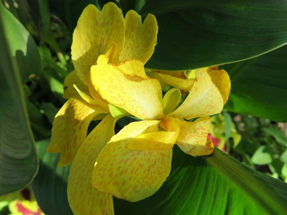 Photograph by ЭЛЬМИРА  ИСМАИЛОВА