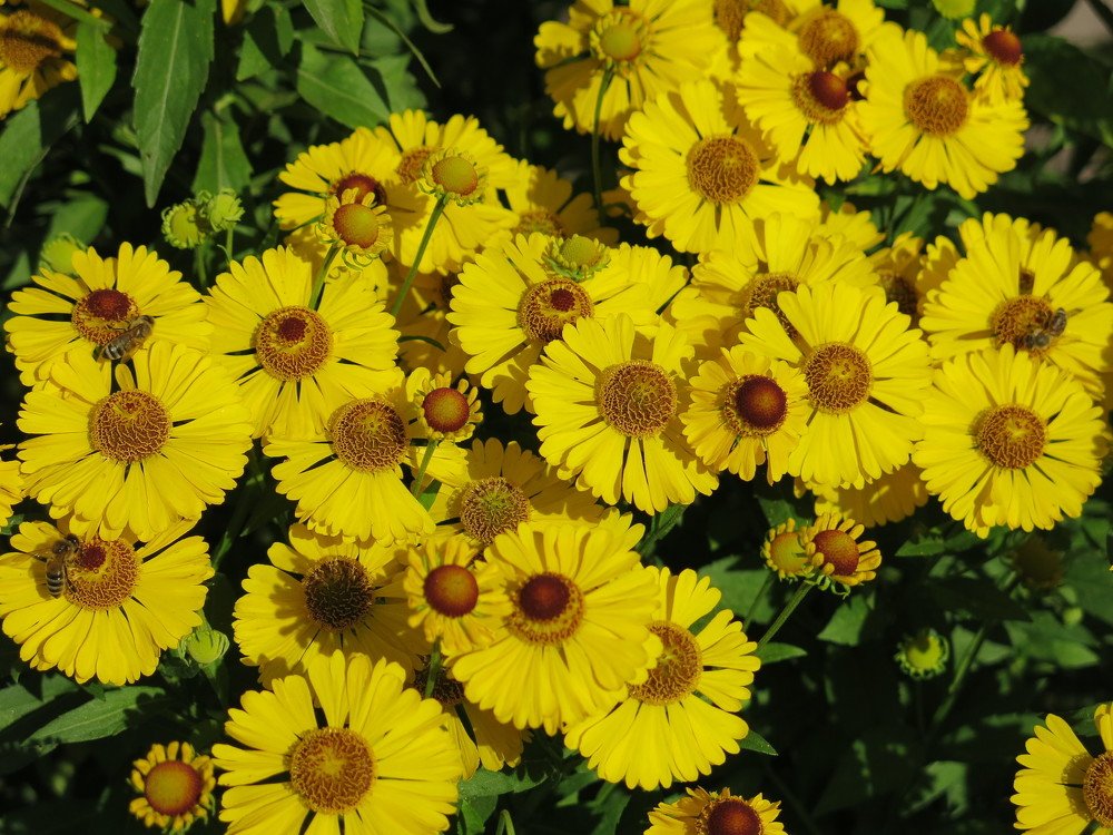 Photograph by ЭЛЬМИРА  ИСМАИЛОВА