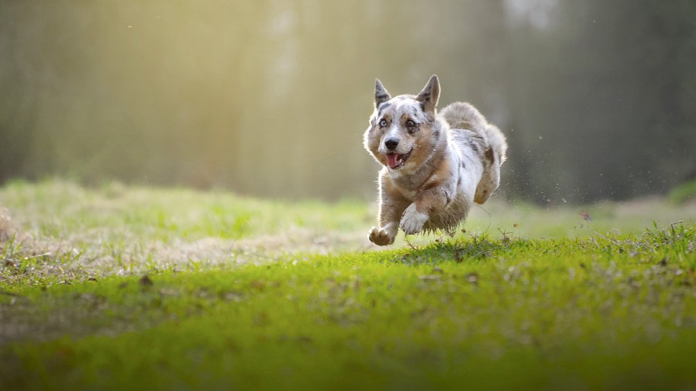 Photograph by Мария Калинина