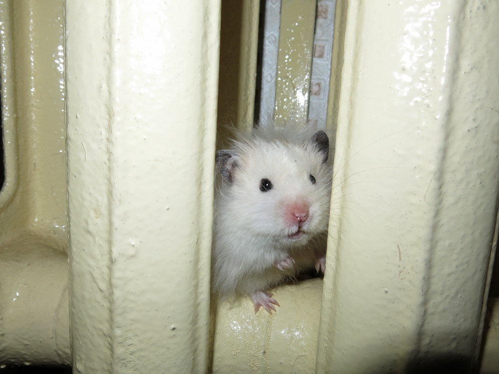 Photograph by ЭЛЬМИРА  ИСМАИЛОВА