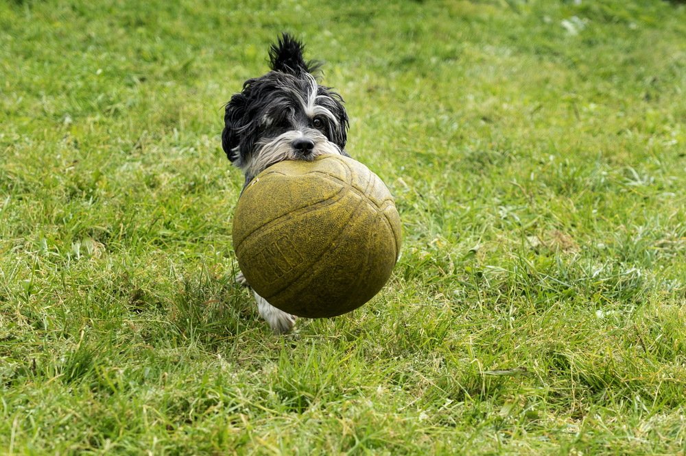 Photograph by Ирина Юркова