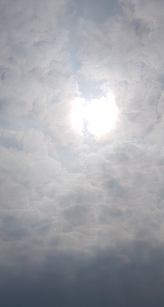 Photograph by Анна Сорокопуд