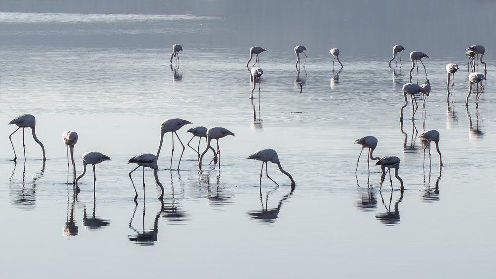 Photograph by Selma Kotancı