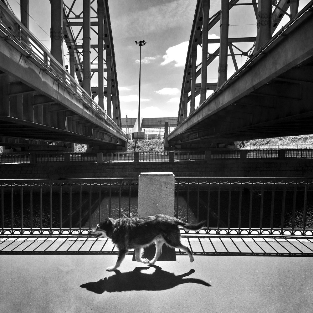 ПОЛУДЕННЫЙ ПРОМЕНАД