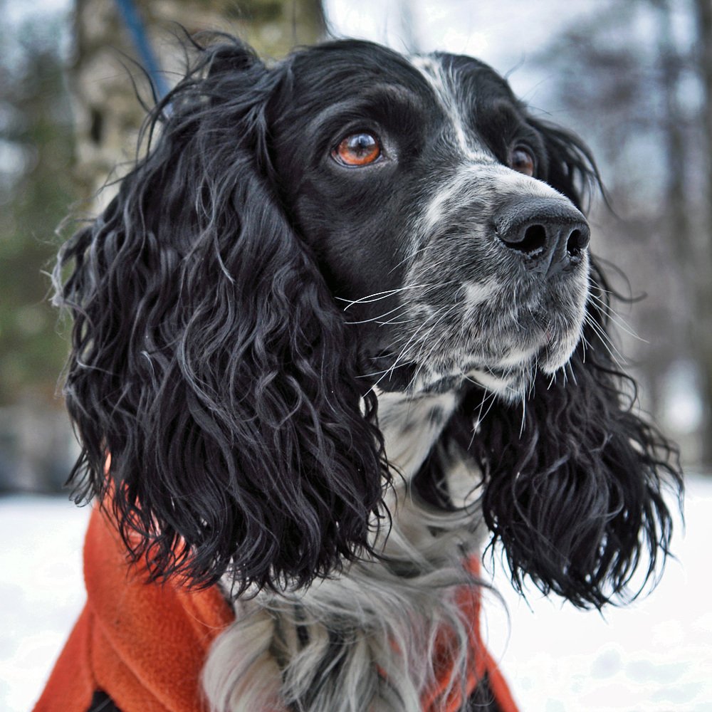 Я ИДУ ТЕБЯ ИСКАТЬ !