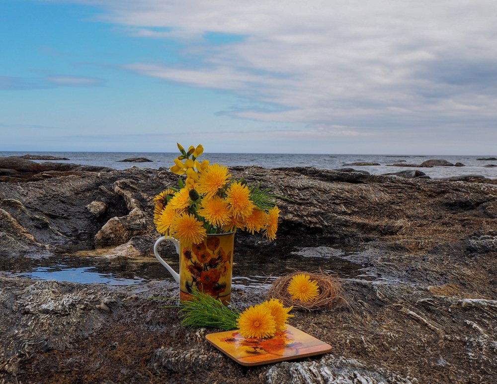 Фотография автора Olena Vorotyntseva