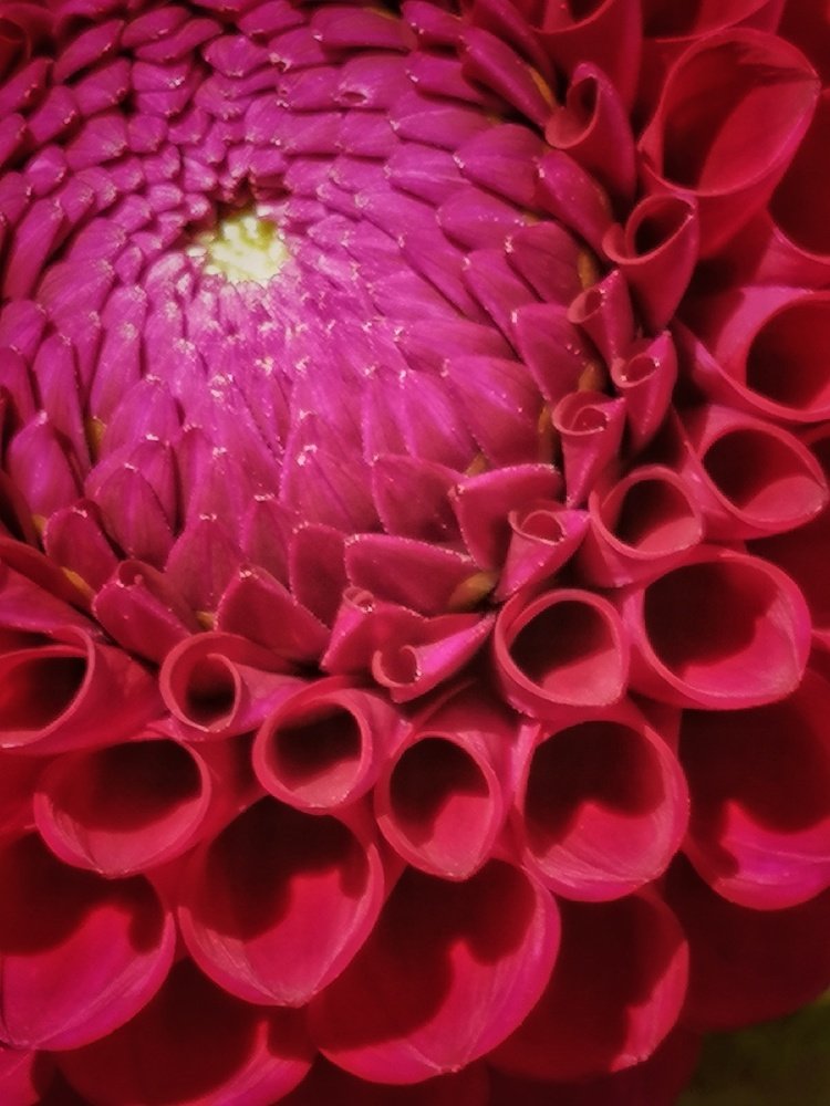 Photograph by Eva Wiedemann