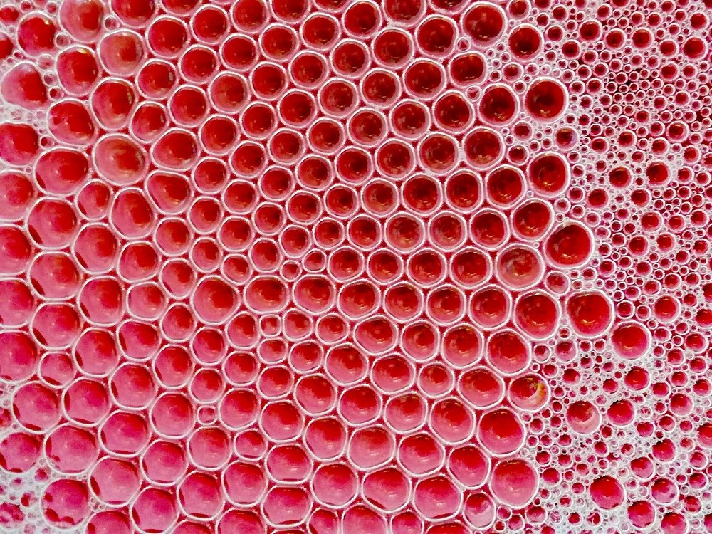 Photograph by Eva Wiedemann