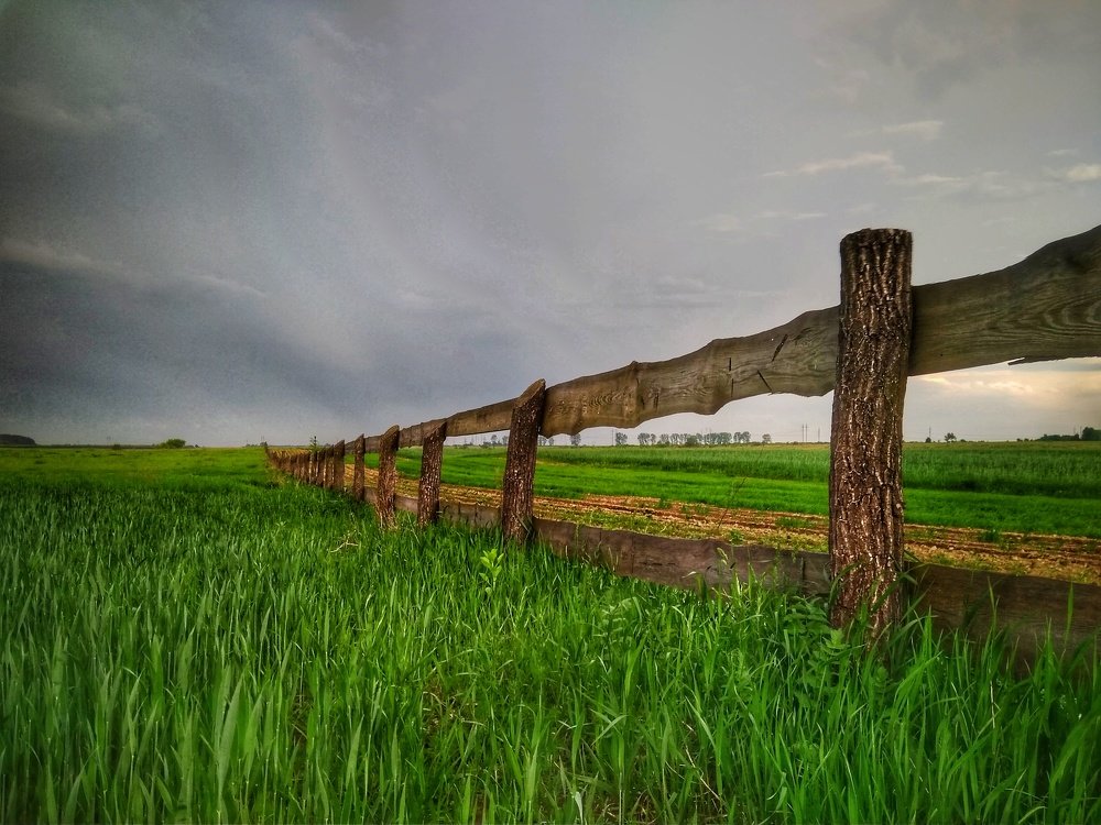 Photograph by Люба