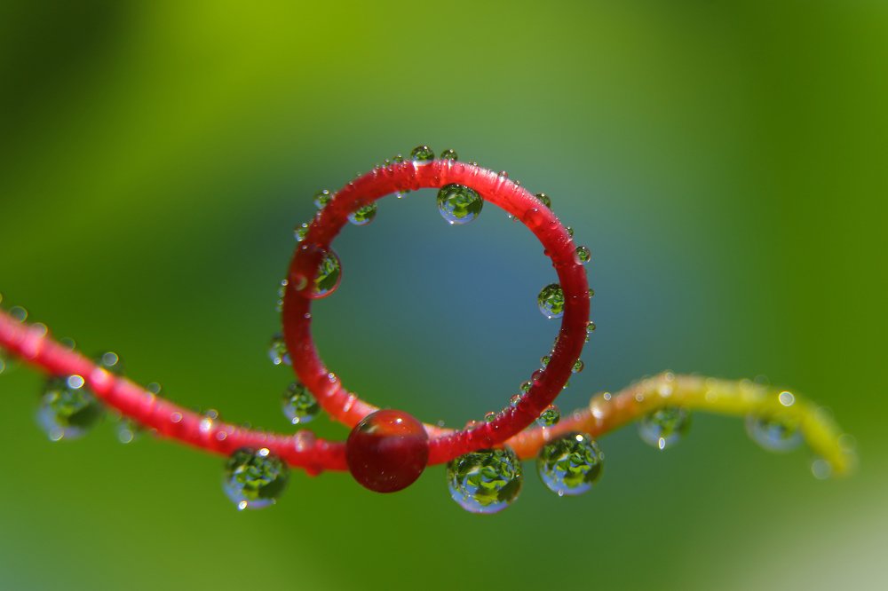 Photograph by Александр Шаварёв