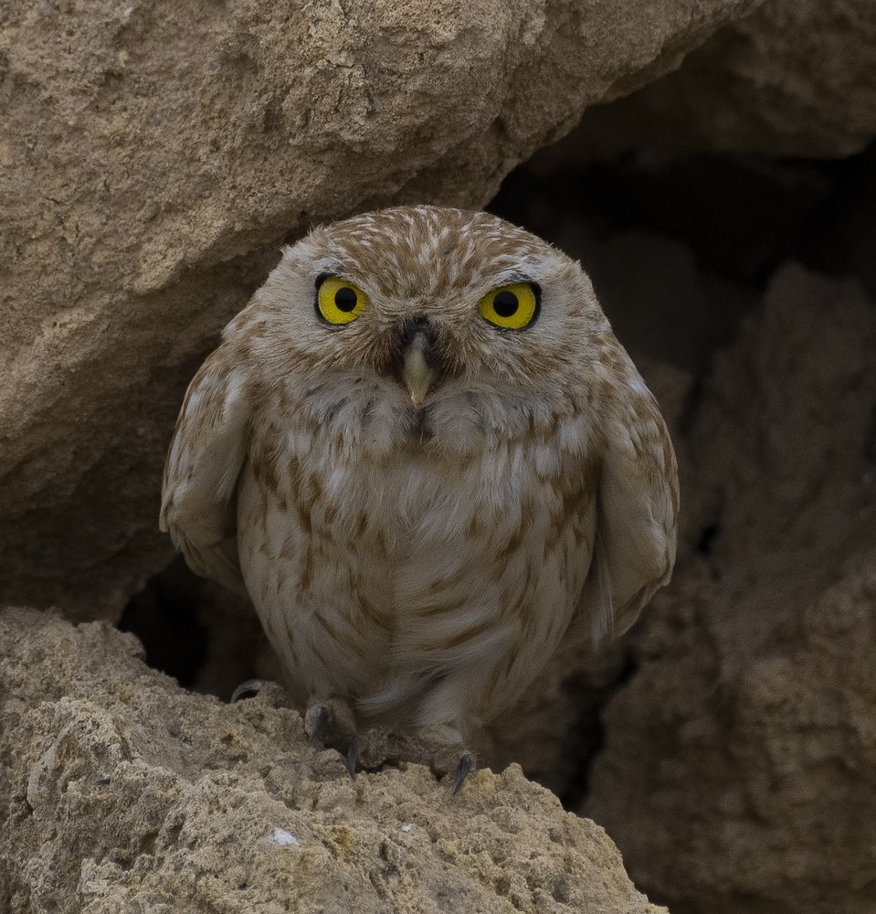 Photograph by Manjri Saxena