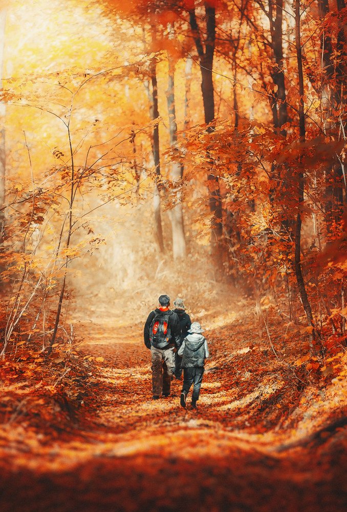 Осенняя прогулка