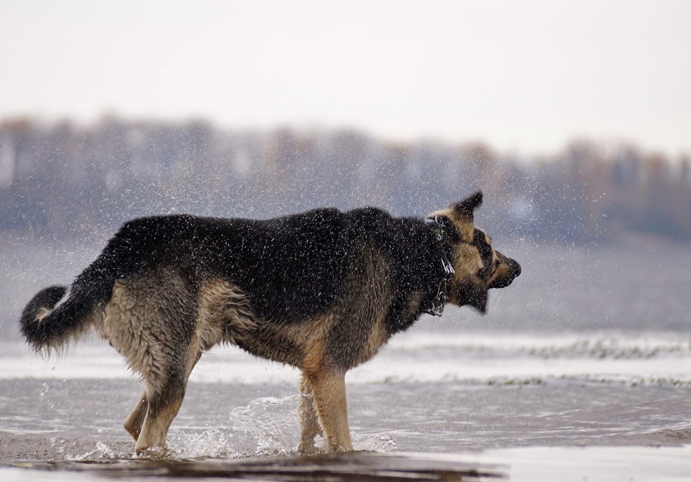 Photograph by Александр Попов
