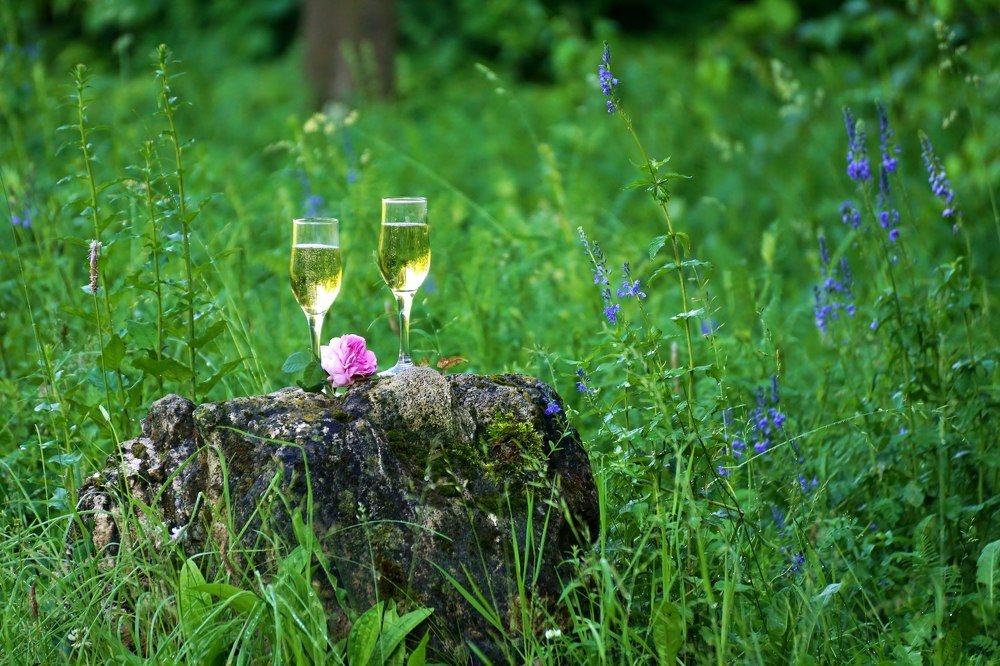 Photograph by Александр Попов