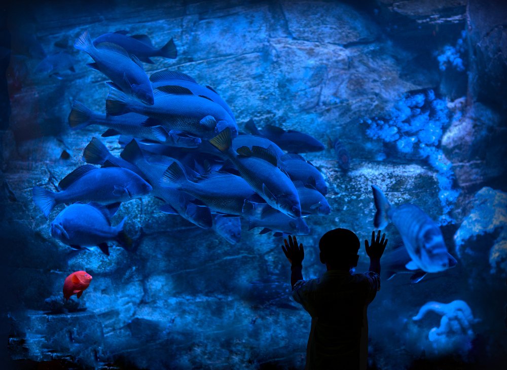 Photograph by Евгения Брусенцова