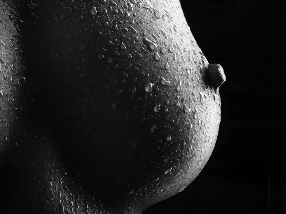 Фотография автора Илья Копелиович