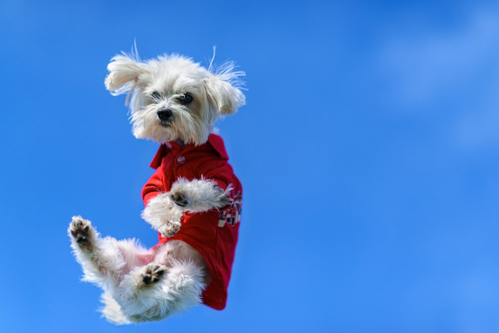 Photograph by Ирина Самойлова