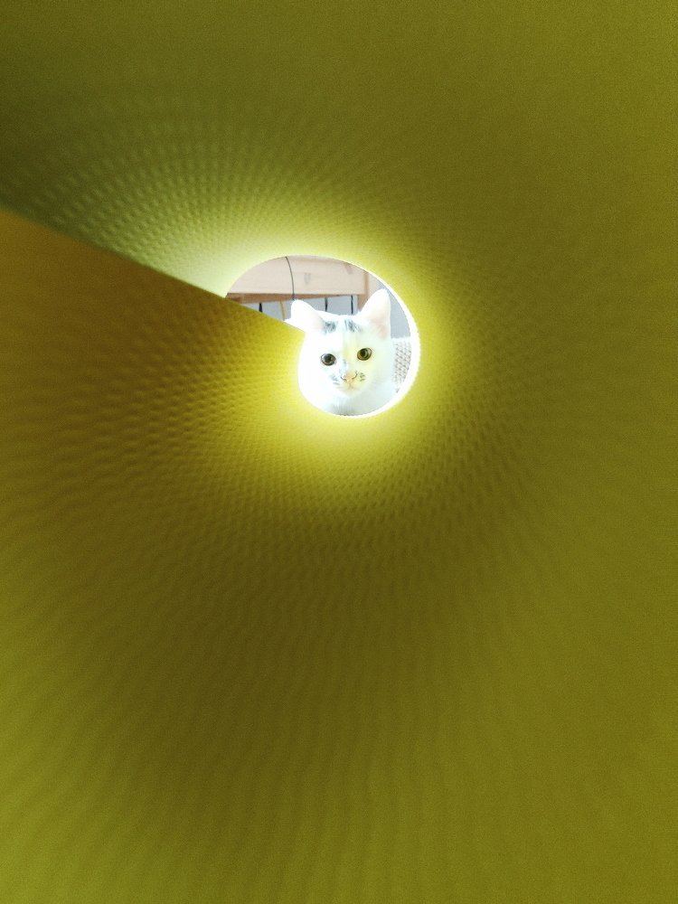 Photograph by Ксения Щербакова